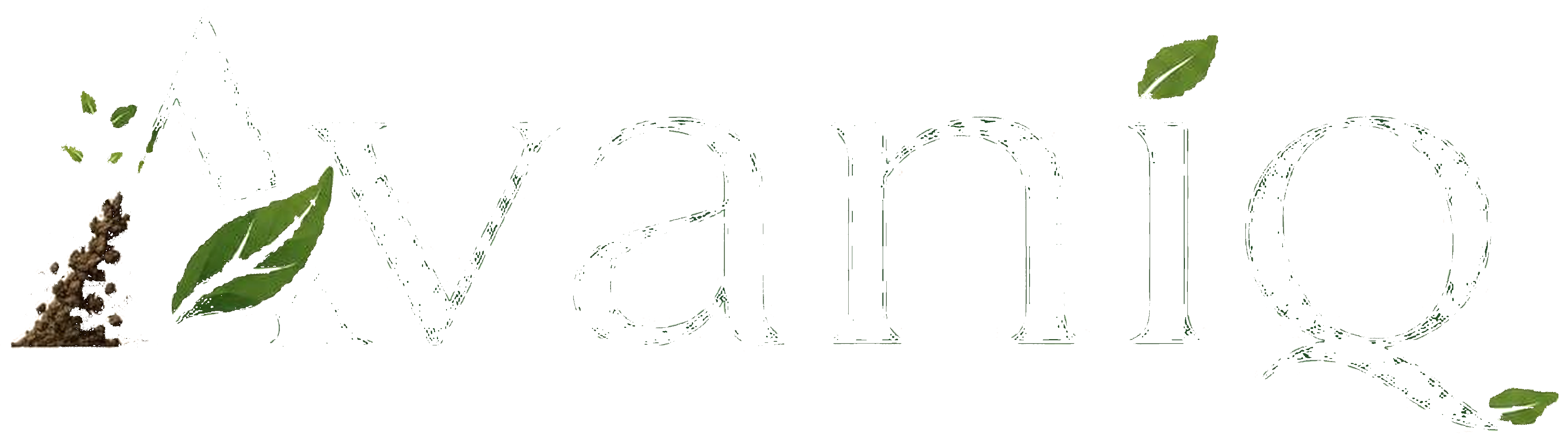 Avaniq